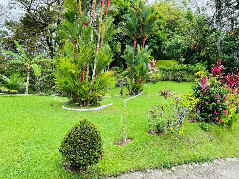Suenos De Amor! Hermoso Y Acogedor Lugar Quepos Exterior photo
